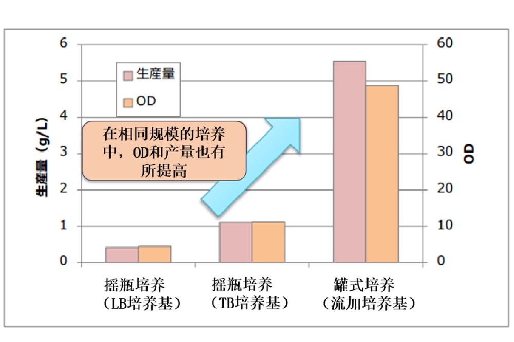 大肠杆菌流加培养