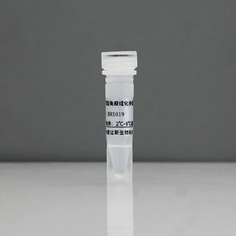 通用型免疫组化多聚酶标二抗